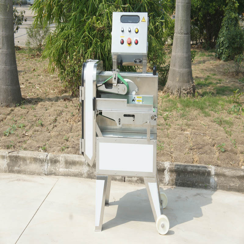 Parameters of Vegetable Cutter