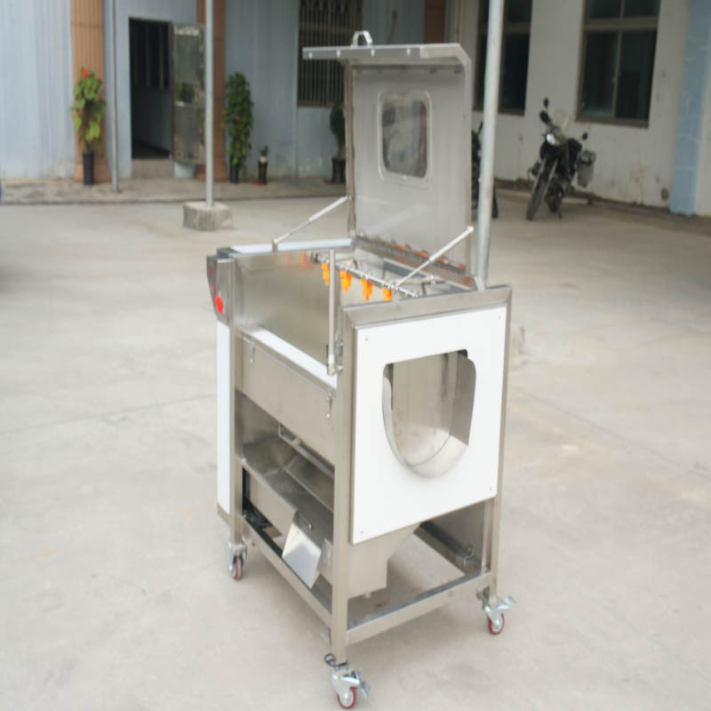 Introduction of Potato Brush Cleaning and Peeling Machine