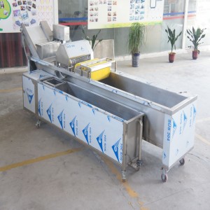 Ozone Disinfection Vegetable Washing Machine (with impurity removal device)
