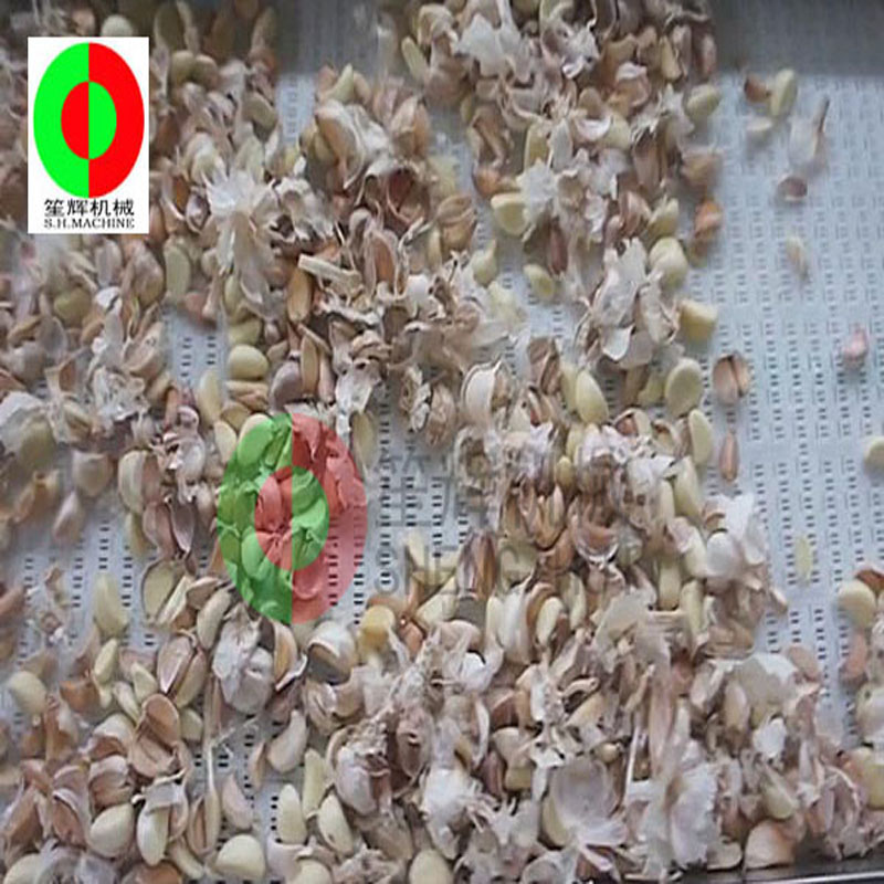 Garlic splitting machine