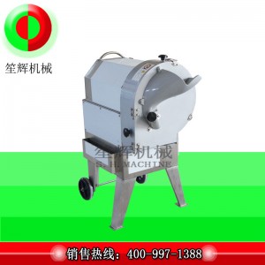 Multi-functional vegetable and fruit cutting machine / multi-function fruit and fruit cutting machine / SH-100 bulbous root cutting machine