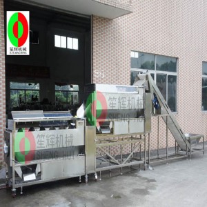 Melon peeling machine / fruit and vegetable peeling machine / continuous melon fruit brush cleaning peeling machine QX-824