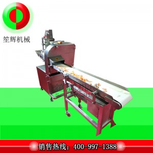 Fresh meat slicer QP-160